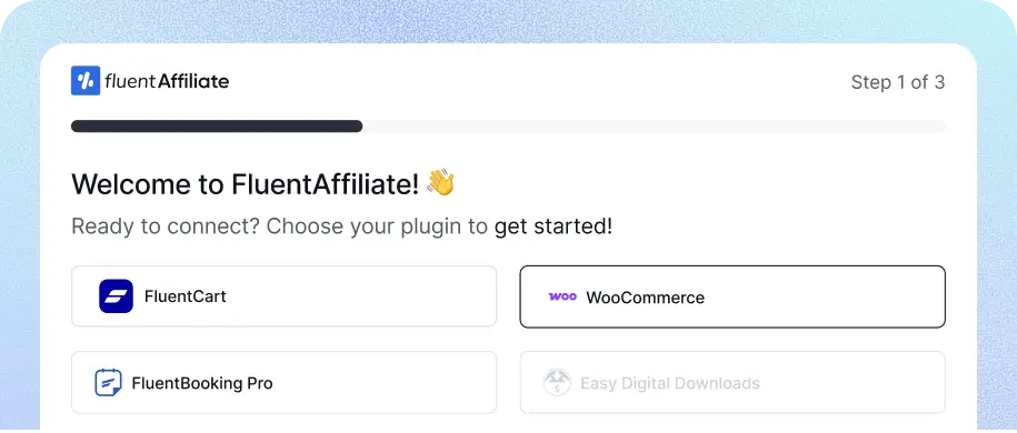 setup wizard